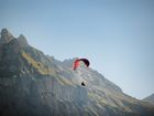 Fliegen Fliegen